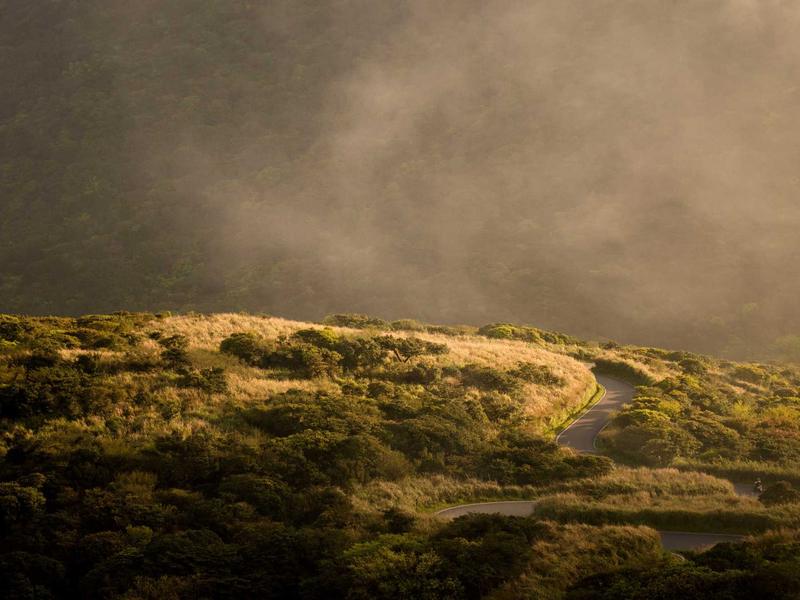 cookies screenshot 4