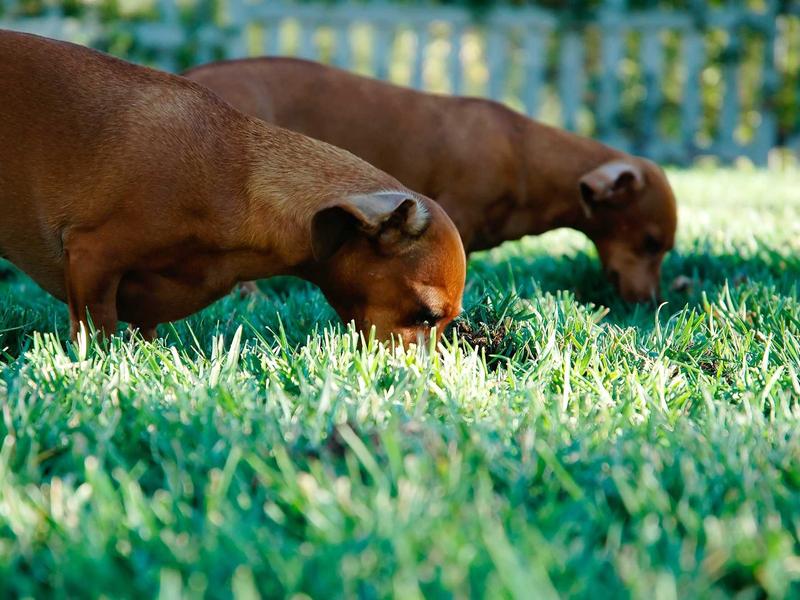 sudoku extra challenge screenshot 4