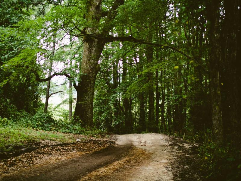 sudoku retro theme screenshot 4